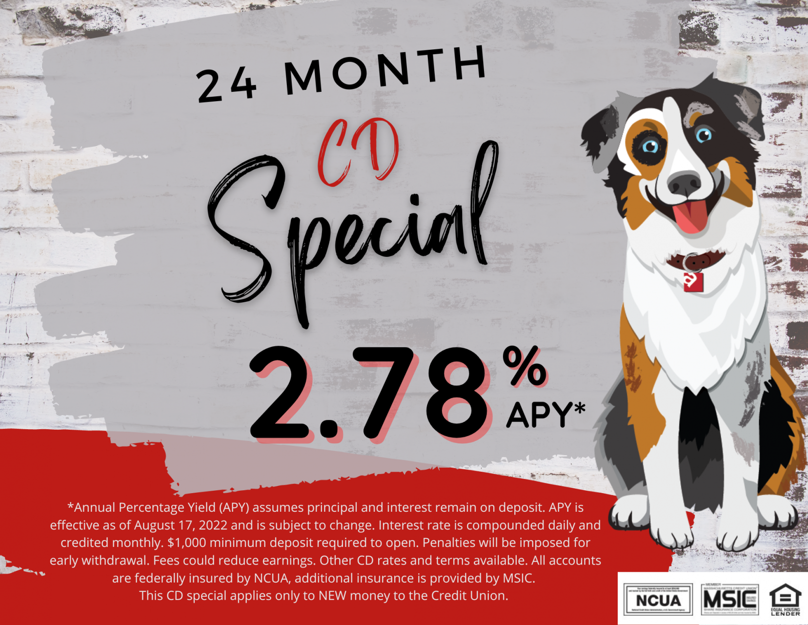24 Month CD SPECIAL!